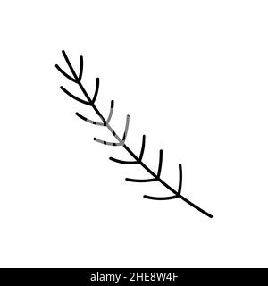 Branche de sapin isolée sur fond blanc.Illustration vectorielle dessinée à la main, style doodle.Parfait pour les motifs de vacances, les cartes, les décorations, le logo, les invitations. Illustration de Vecteur