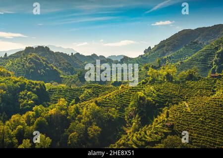 Bologback de Prosecco Hills, paysage sauvage avec vignobles escarpés.Patrimoine mondial de l'UNESCO.Farra di Soligo.Vénétie, Italie, Europe. Banque D'Images