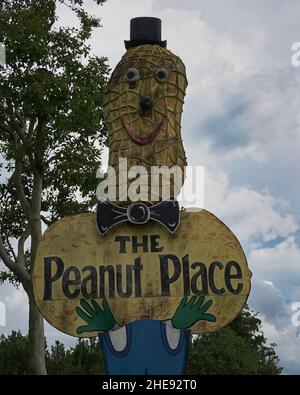 Le Big Peanut à Tolga, Atherton Tablelands Banque D'Images
