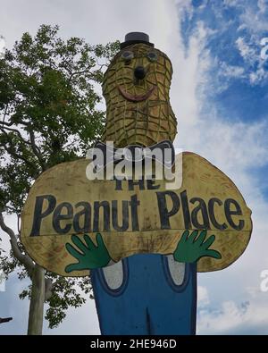 Le Big Peanut à Tolga, Atherton Tablelands Banque D'Images