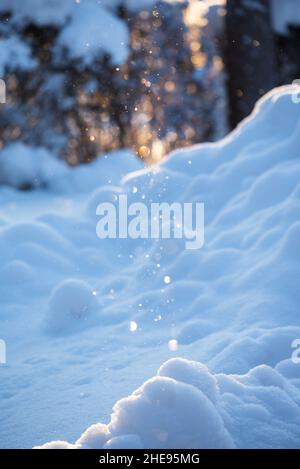 Cristaux de glace flottant dans l'air et étincelant dans la lumière du soleil, froid jour d'hiver, arrière-plan de bokeh défoqué Banque D'Images