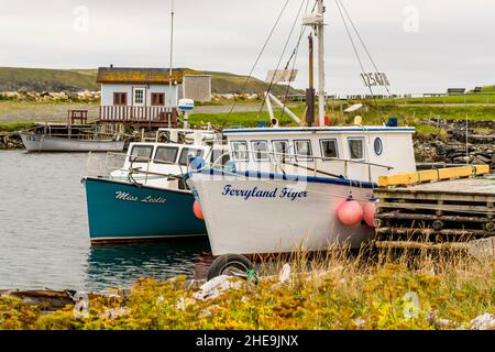 Bateaux de pêche dans le port, Calvert (Terre-Neuve) Banque D'Images