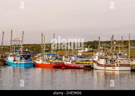 Bateaux de pêche dans le port, Old Pelican, péninsule d'Avalon, Terre-Neuve, Canada. Banque D'Images