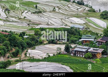 Maison de village sur riz paddy dans l'Himalaya, Punakha, Bhoutan Banque D'Images