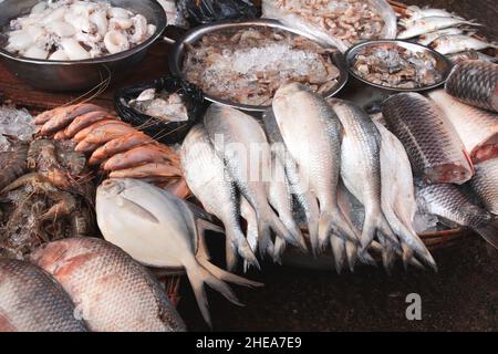 Poisson fraîchement pêché, calmars et crevettes dans la glace, marché du poisson du matin, Yangon, Myanmar (Birmanie) Banque D'Images