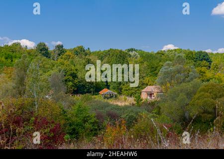 Un vieux cottage en ruine placé au milieu de la forêt surcultivée avec de la végétation. Banque D'Images