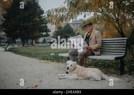 Homme senior heureux assis sur le banc et lisant le journal pendant la marche de chien à l'extérieur dans le parc de la ville. Banque D'Images