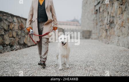 Bas section de l'élégant homme senior marchant son chien à l'extérieur dans la ville. Banque D'Images