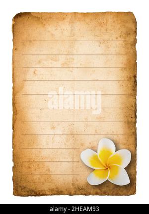 Ancienne lettre avec fleur isolée sur blanc Banque D'Images