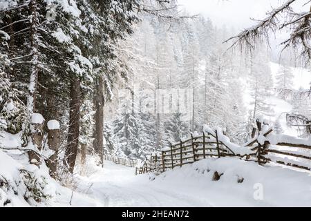 Route sinueuse de montagne pendant les chutes de neige, Tyrol du Sud, Dolomites, nord de l'Italie. Banque D'Images