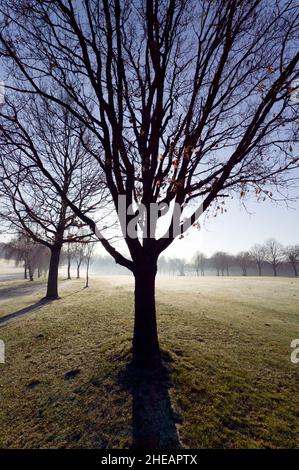 Le très beau parcours de golf de Beckenham place Park, avant, le conseil de Lewisham l'avait détruit ! Banque D'Images