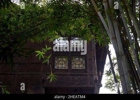 Fermeture partielle d'une ancienne maison en bois dans une forêt de bambous chinois Banque D'Images