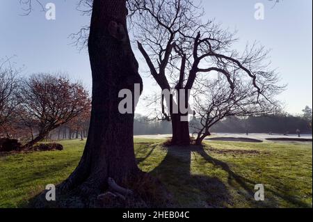 Golfeurs, en profitant d'un jeu, sur un hiver glacial, brumeux matin, sur le maintenant détruit, le parcours de golf de Beckenham place Park. Banque D'Images