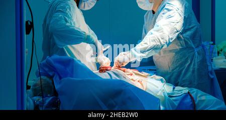 Deux chirurgiens en uniforme bleu opèrent sur un patient sur une table d'opération.Mise au point sélective.Instruments chirurgicaux dans les mains des médecins pendant une opération chirurgicale. Banque D'Images