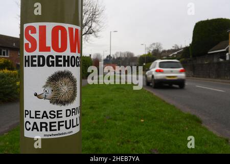 Ralentissez les hérissons, veuillez conduire avec précaution sur le panneau sur le lampadaire près de Cupernham Lane dans la ville marchande de Romsey Hampshire. Banque D'Images