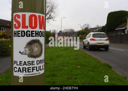 Ralentissez les hérissons, veuillez conduire avec précaution sur le panneau sur le lampadaire près de Cupernham Lane dans la ville marchande de Romsey Hampshire. Banque D'Images