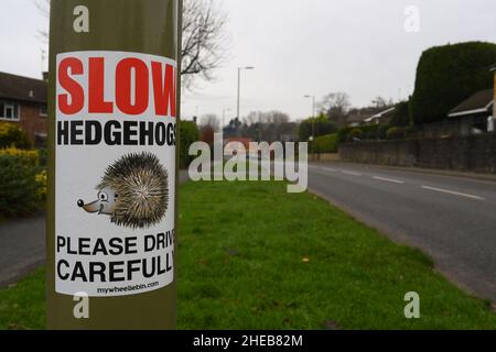 Ralentissez les hérissons, veuillez conduire avec précaution sur le panneau sur le lampadaire près de Cupernham Lane dans la ville marchande de Romsey Hampshire. Banque D'Images