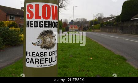 Ralentissez les hérissons, veuillez conduire avec précaution sur le panneau sur le lampadaire près de Cupernham Lane dans la ville marchande de Romsey Hampshire. Banque D'Images