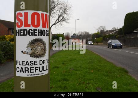 Ralentissez les hérissons, veuillez conduire avec précaution sur le panneau sur le lampadaire près de Cupernham Lane dans la ville marchande de Romsey Hampshire. Banque D'Images