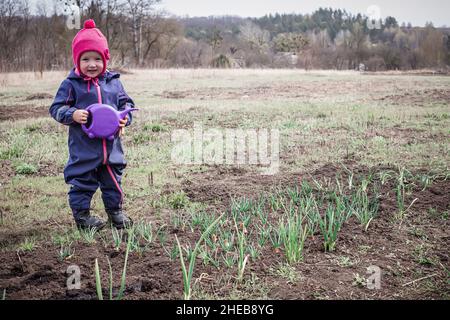 petite fille avec arrosage pourpre dans les mains se tient sur le lit gonflé avec l'oignon craqué.La culture des premiers verts sur terre au début du printemps Banque D'Images