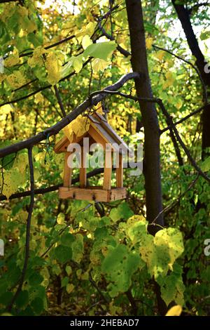 Mangeoire à oiseaux en bois maison suspendue sur une branche verte dans le parc Banque D'Images