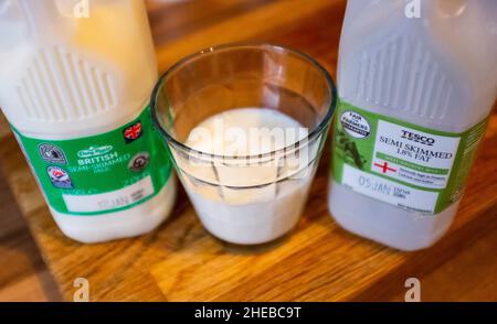 Des cartons de lait de supermarché et un verre de lait demi-écrémé avec des dates d'utilisation montrant le Royaume-Uni photo prise par Simon Dack Banque D'Images