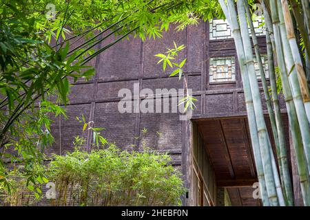 Fermeture partielle d'une ancienne maison en bois dans une forêt de bambous chinois Banque D'Images