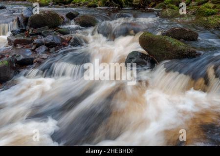 Foxdale Beck à Littledale dans la forêt de Bowland, Lancashire Banque D'Images