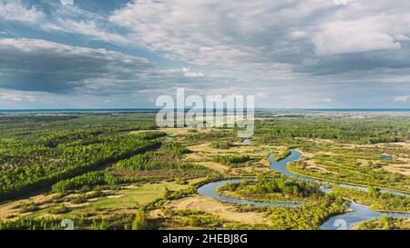 Vue aérienne des forêts et du marais de la rivière en paysage du début de l'été.Vue de dessus de la belle nature européenne de haute attitude en été.Drone Banque D'Images