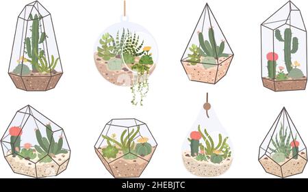 Un joli florarium en verre, un terrarium géométrique avec des succulents et des cactus.Terrariums avec plantes tropicales du désert pour la maison décor intérieur ensemble vectoriel.Éléments en cristal avec plantes de maison dans le style scandinave Illustration de Vecteur