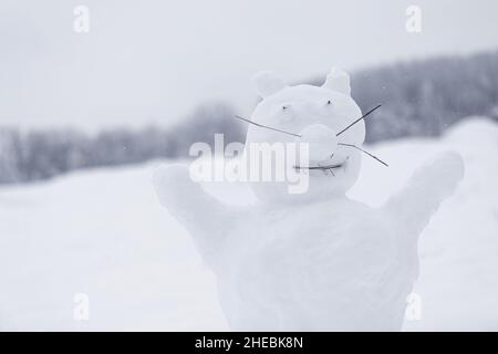 La figure de drôle bonhomme de neige dans le champ de neige Banque D'Images