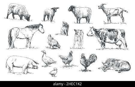 jeu d'animaux de ferme - illustrations dessinées à la main Illustration de Vecteur