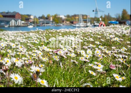 Printemps dans la forteresse de la mer de Suomenlinna, Helsinki, Finlande Banque D'Images