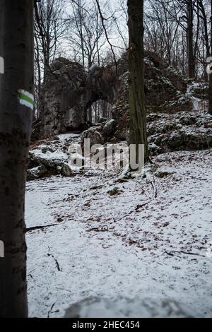 Rochers dans la forêt en hiver, arche rocheuse avec arbre avec marqueur d'essai en premier plan photo d'en dessous | formation rocheuse avec passage en haut de la pente de la colline Banque D'Images