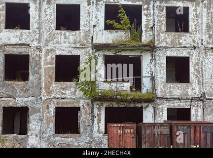 Façade d'une maison abandonnée de 3 étages avec arbres en pleine croissance juste au-dessus du bâtiment. Banque D'Images