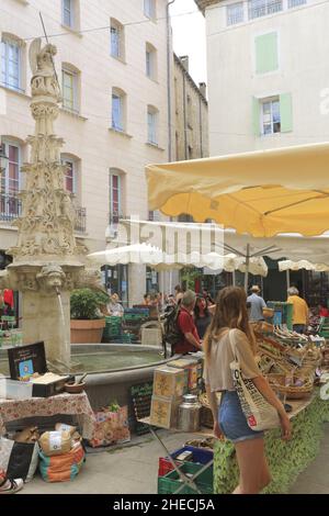 France, Alpes de haute Provence, Parc naturel régional du Luberon, Forcalquier, place Saint Michel, journée de marché autour de la fontaine Saint Michel de style gothique (1512) Banque D'Images