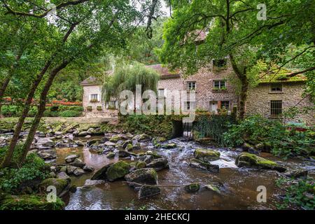 France, Creuse, Crozant, Vallée de Sedelle, les rives de la rivière Sedelle sur la via Lemovicensis ou Vezelay, l'une des voies principales vers Saint-Jacques-de-Compostelle Banque D'Images