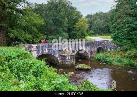 France, Creuse, Crozant, Vallée de Sedelle, randonnée sur la via Lemovicensis ou Vezelay Way, l'une des voies principales vers Saint-Jacques-de-Compostelle, pont Charraud au-dessus de la Sedelle Banque D'Images