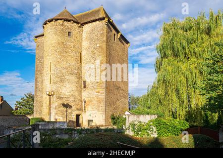 France, Indre, la chatre, scène sur la via Lemovicensis ou Vezelay Way, l'une des voies principales vers Saint-Jacques-de-Compostelle, ancien château du 15th siècle, le donjon de Chauvigny Banque D'Images