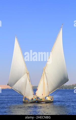 Égypte, haute Égypte, vallée du Nil, environs d'Assouan, feluccas sur le Nil Banque D'Images