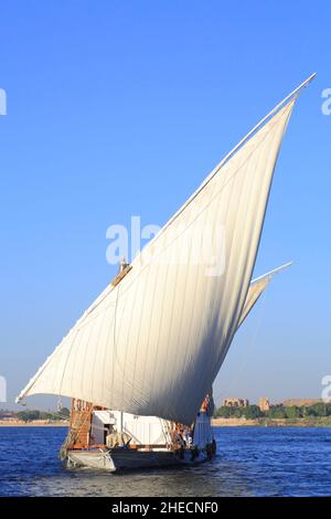 Égypte, haute Égypte, vallée du Nil, Kom Ombo, dahabieh Louxor avec ses voiles latines voguant entre Esna et Assouan Banque D'Images