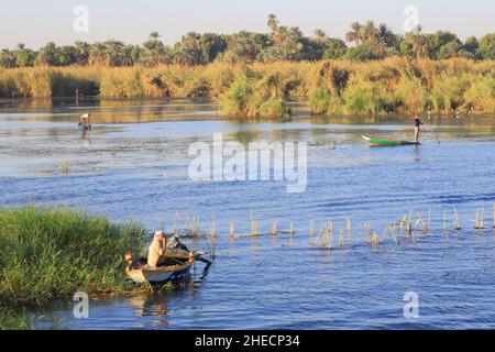 Égypte, haute Égypte, vallée du Nil, environs de Kom Ombo, bateaux de pêche sur le Nil Banque D'Images