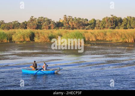 Égypte, haute Égypte, vallée du Nil, environs de Kom Ombo, vue sur un bateau de pêche sur le Nil avec palmeraie en arrière-plan Banque D'Images