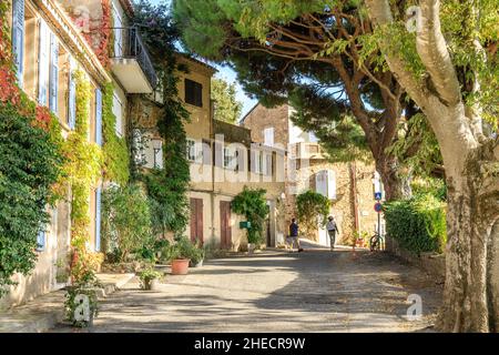 France, Var, Golfe de Saint Tropez, Gassin, étiqueté les plus Beaux villages de France (les plus beaux villages de France), rue du village, Banque D'Images