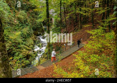 France, Jura, Parc naturel régional du Haut Jura, planches en montagne, gorges de la Langouette et Rivière de la Saine Banque D'Images