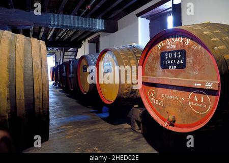 Portugal, Ile de Madère, Funchal, Madeira Wine Company, fûts de Madère (vin doux naturel) stockés dans la cave de la marque Blandy (fondée en 1811) Banque D'Images