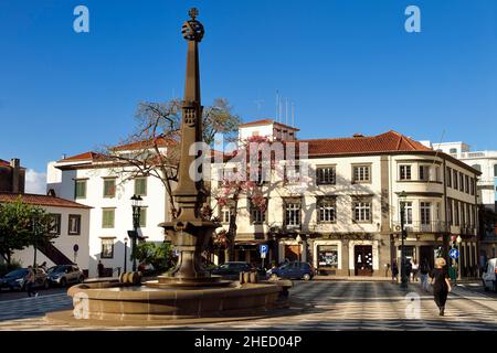 Portugal, île de Madère, Funchal, praca do municipio Banque D'Images