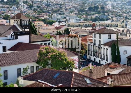 Portugal, l'île de Madère, Funchal, Praca do municipio, le musée d'Art Sacré installé dans l'ancien palais épiscopal sur la place de l'hôtel de ville Banque D'Images