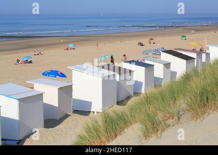 Belgique, Flandre Occidentale, Bredene, cabines de plage au bord de la mer du Nord Banque D'Images