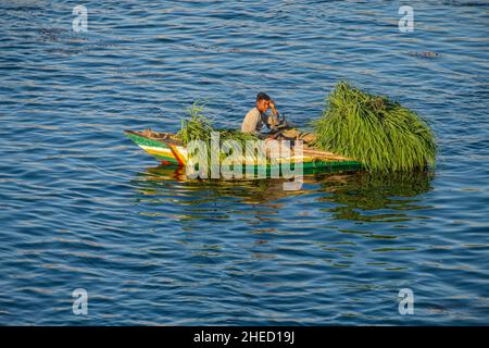 Égypte, haute Égypte, vallée du Nil, pêcheur Banque D'Images